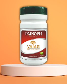 PAINOPH POWDER 90G