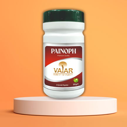 PAINOPH POWDER 90G